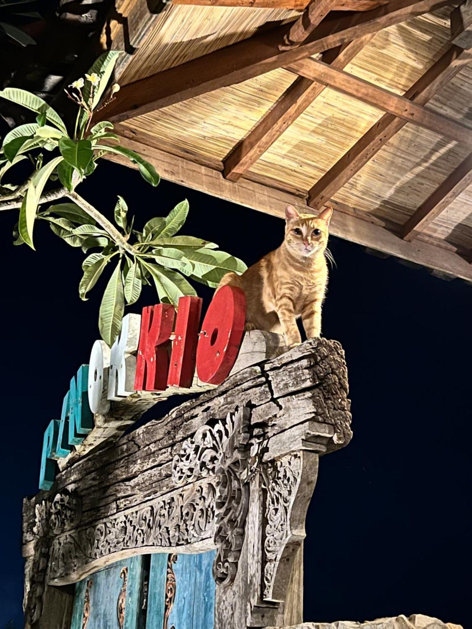 Pinokkio B&B Restaurant Ungasan Dış mekan fotoğraf